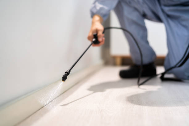Licensed Cockroach Control service in Athens, IL - Nex Pest Control