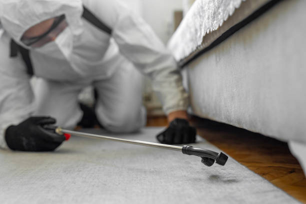 Professional Cockroach Control technician working in Athens, IL