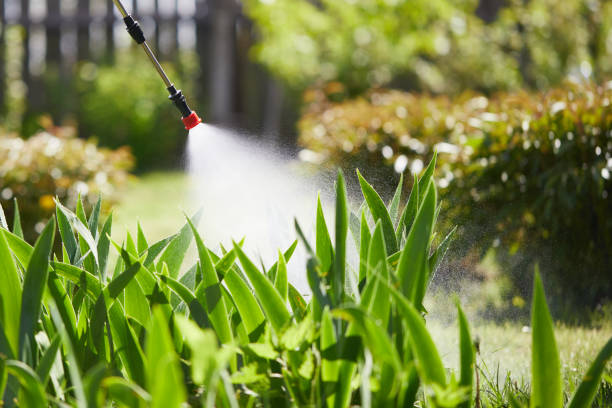 24/7 Emergency Cockroach Control experts in Athens, IL