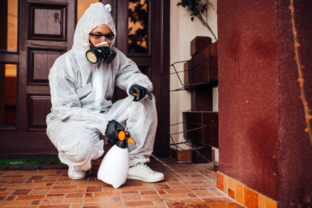 Reliable Cockroach Control contractor in Athens, IL by Nex Pest Control