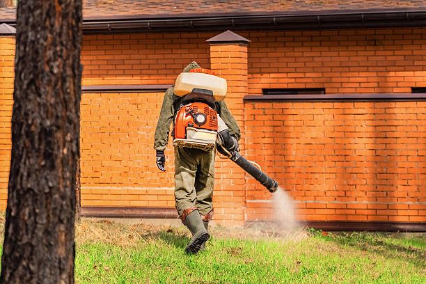 Top rated local Cockroach Control specialists in Athens, IL